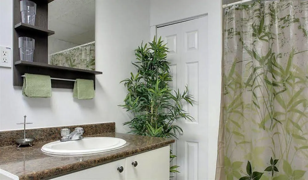 Mtlvacationrentals - The Entertainer Montreal
